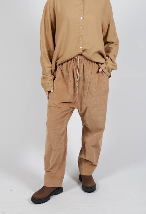 Velevt Braghe Trousers in Sugar