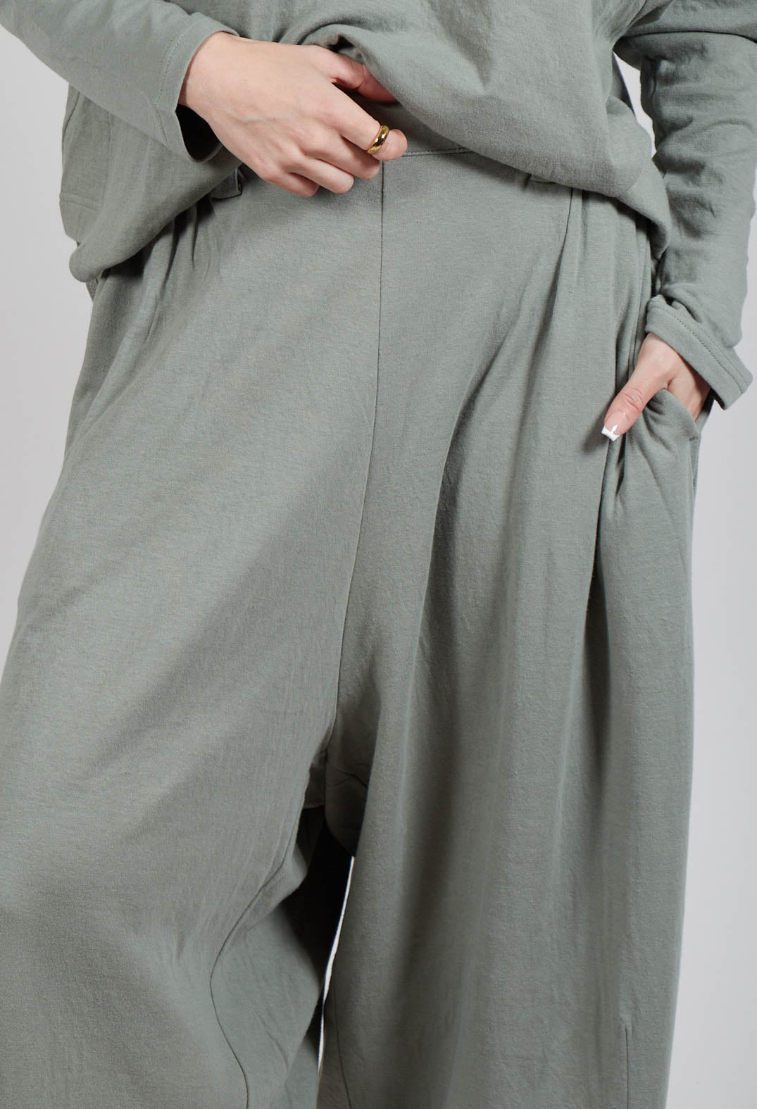 Wide Leg Trousers in Light Grey